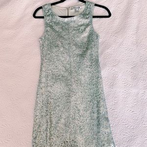 Silver Sequin Dress